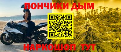 Альфа ПВП Можга