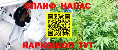 стафф Моздок