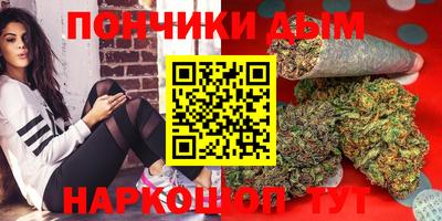 Альфа ПВП Можга