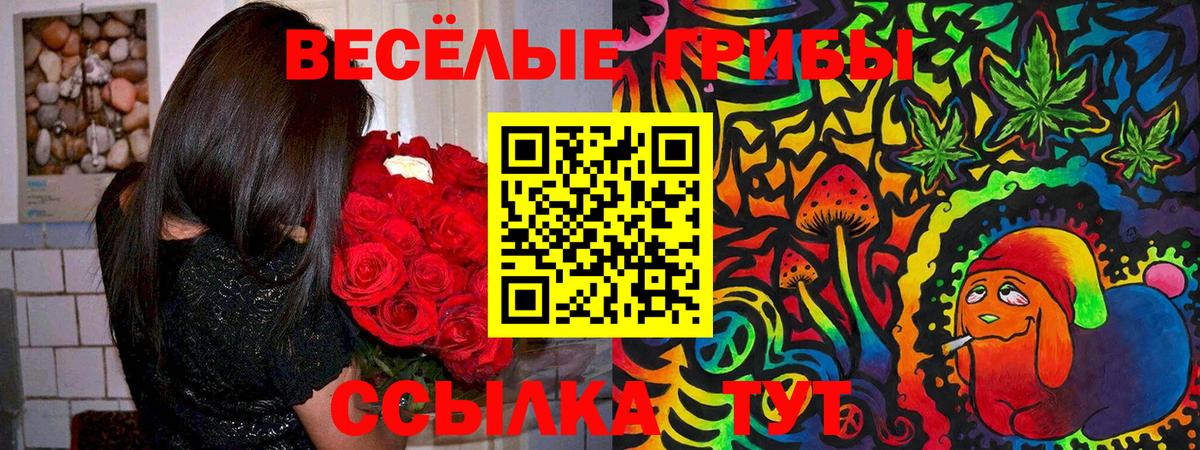 Галлюциногенные грибы прущие грибы Кушва